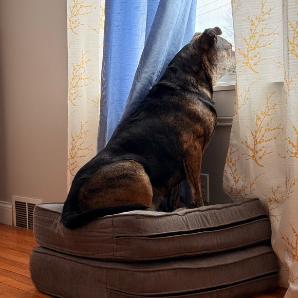 SPOT :) - Picture 3 of 5